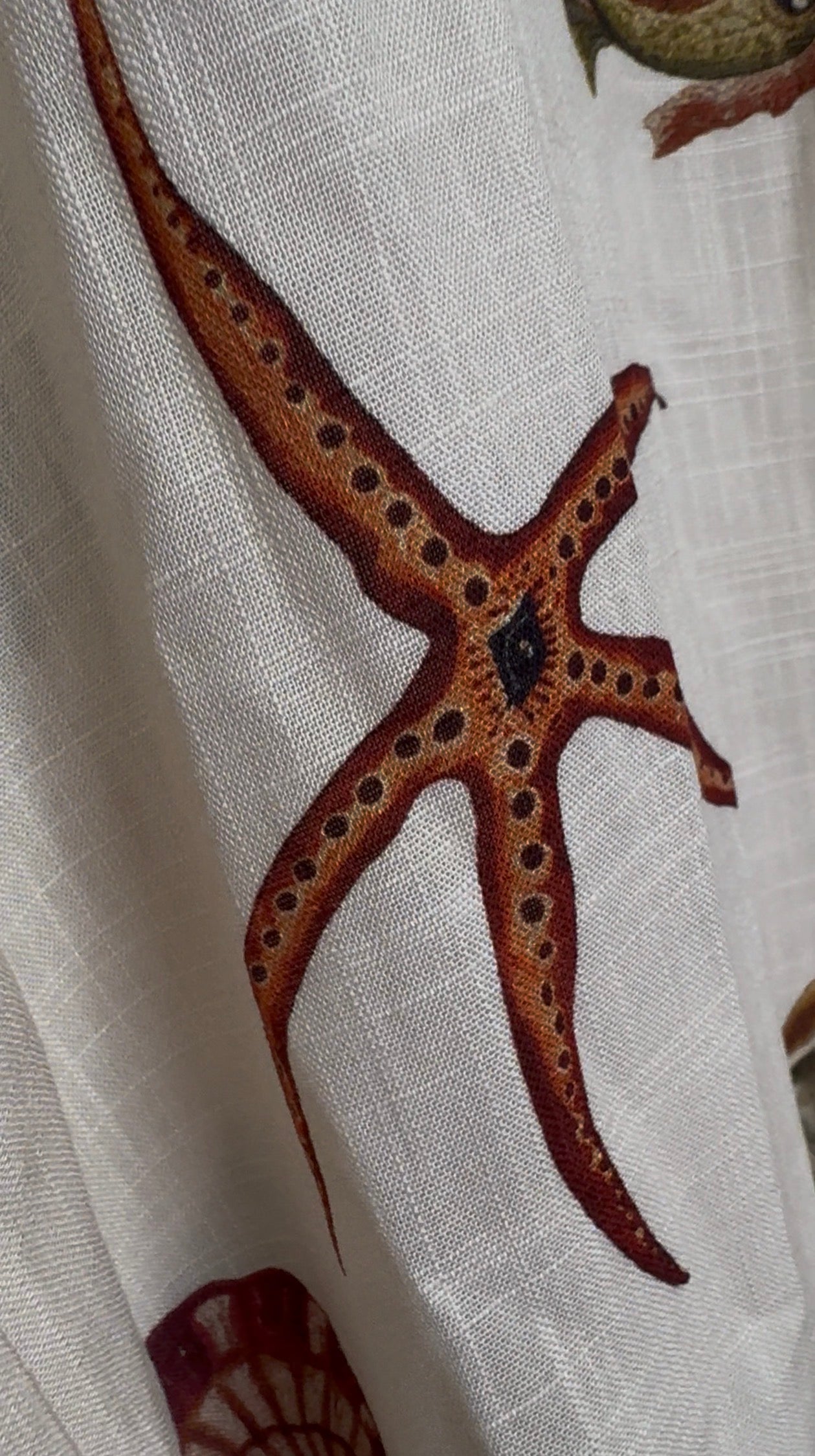 Pantalón del Mar